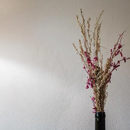 Emilio's Гостевой дом Levizzano Rangone