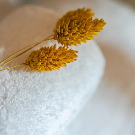 Emilio's Levizzano Rangone