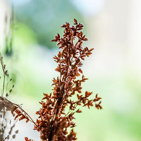 Emilio's Гостевой дом