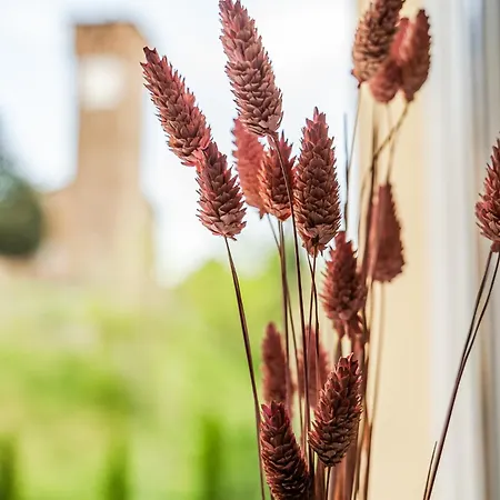 Гостевой дом Emilio's 3*