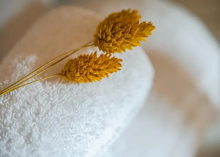 Emilio's Levizzano Rangone