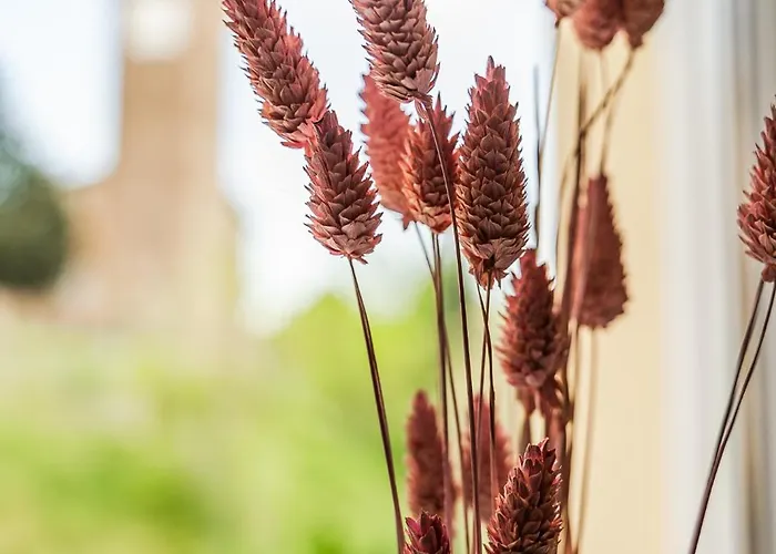 Konukevi Emilio's 3*